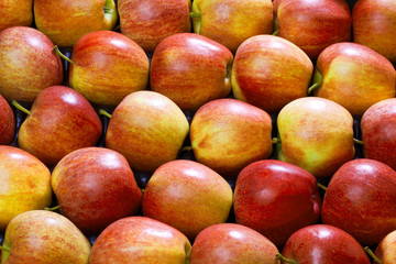 exposed, red, fresh apples as a background