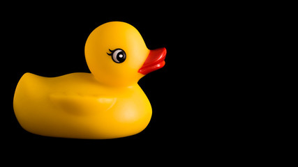 yellow Rubber Duck on black Background