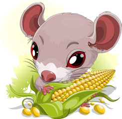 mouse with corn © andryuha1981