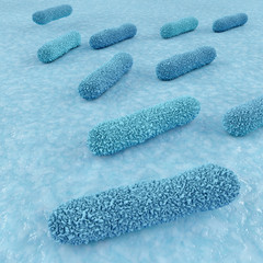 Bacteria - 3d Render