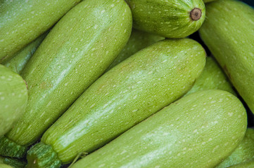 Zucchini