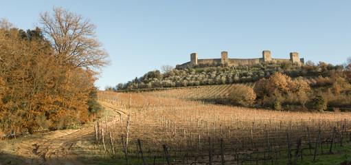 Fototapeta na wymiar Winnice w zimie blisko do Monteriggioni, Toskania, Włochy
