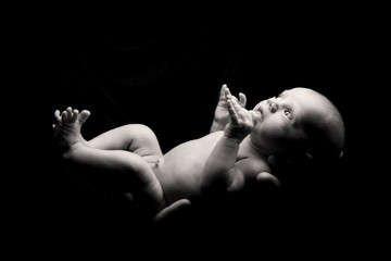 Obraz na płótnie Canvas Newborn baby hold on father's hands.