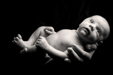 Newborn baby hold on father's hands.