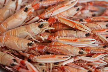 Langoustines cuites.