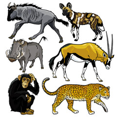 Fototapeta premium set with animals of africa