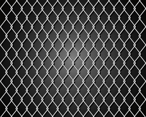 Fototapeta premium Background with metal grid