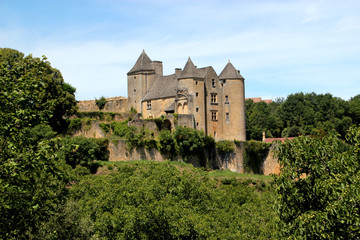 Fototapeta na wymiar Castle Salignac-Eyvigues. (Dordogne)