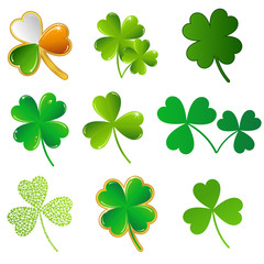 vector shamrock collection