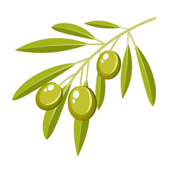 vector olive branch