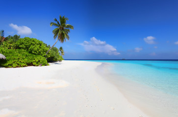Malediven Insel Strand, Palmen und Meer