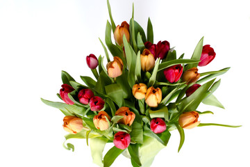 Bouquet of tulips on white - horizontal