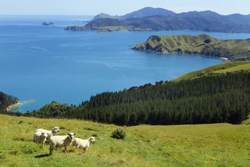 Kissenbezug Neuseeland © Friedberg