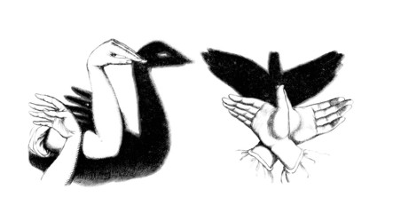Hand Games : Swan & Bird © Erica Guilane-Nachez
