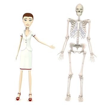 3d render of cartoon character with female skeleton