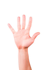 Male hand showing number five, palm