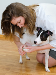Woman cutting her small dog claws