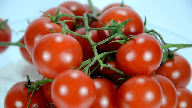 Tomaten