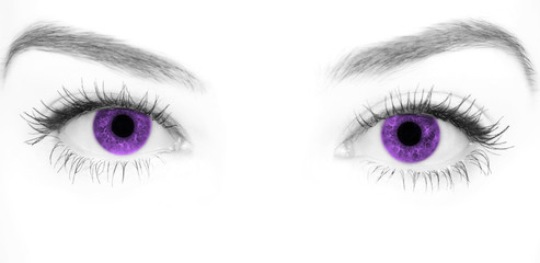 Close-up beautiful female purple eye