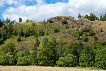 Harzer Hexenstieg Blick auf die Susenburg