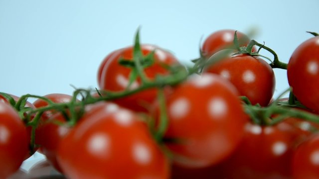 Tomaten