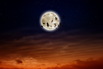 Fototapeta na wymiar Full moon, ravens
