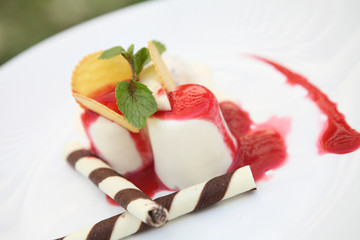 Strawberry Panna Cotta pudding with ice cream