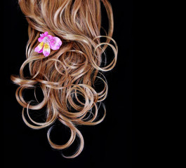 curly brown hair over black background with pink iris flower
