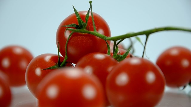 Tomaten