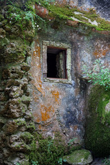Fototapeta na wymiar Partial view of a rustic mossy house