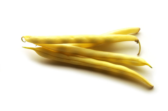 Phaseolus vulgaris Chaucha amarilla