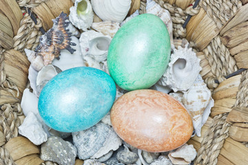 Three colourfull easter eggs with shells