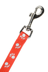 Dog lead or leash isolated over white. Clipping path included