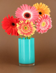 Beautiful Gerber flowers on brown background