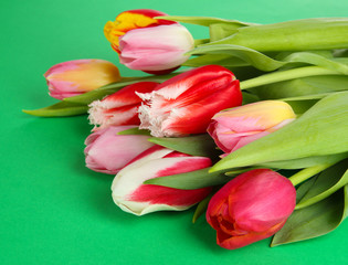 Fototapeta premium Beautiful tulips in bucket on green background