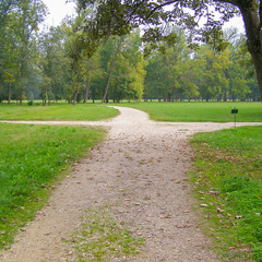 English garden