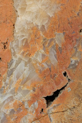 Marble brown background