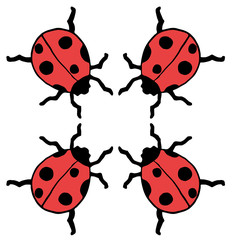 Four ladybug