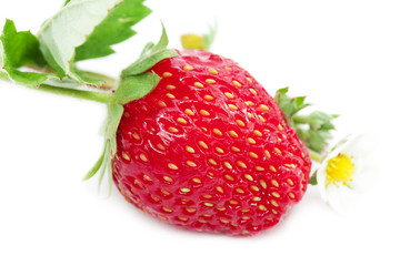 fresh strawberry fruits