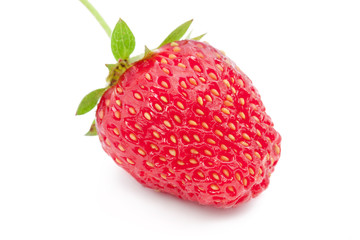 fresh strawberry fruits