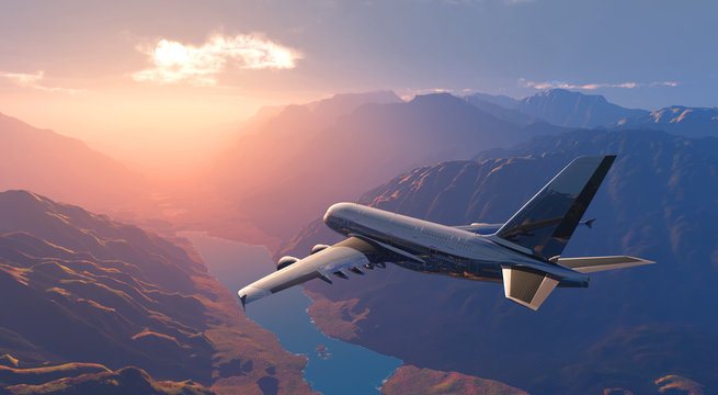 The  plane