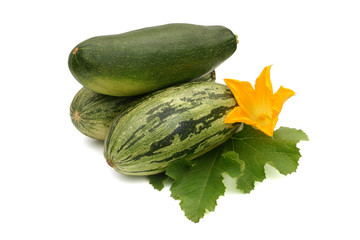 Fresh vegetable marrow with leaf and flower