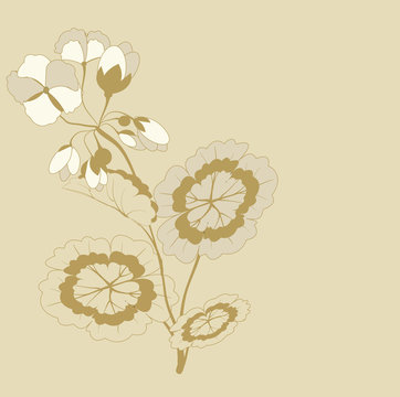 background with flowering branches Pelargonium