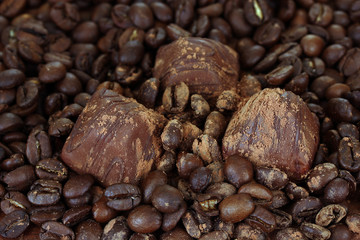 Chocolate sweets with cocoa, on coffee beans background