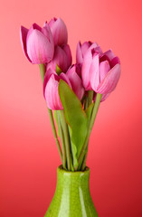 Beautiful bouquet of pink tulips in vase, on red background