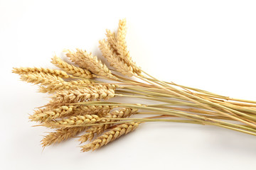 Stalks of wheat ears
