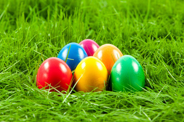 Easter eggs in Fresh Green Grass .