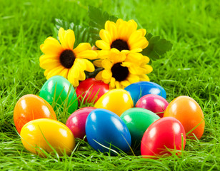 Easter eggs in Fresh Green Grass .