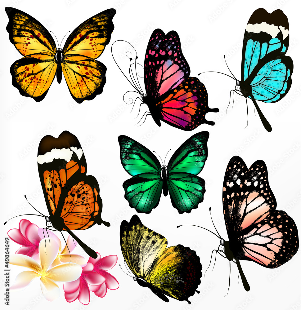 Poster collection of colorful realistic vector butterflies