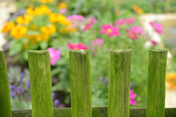 Garten 31